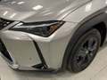 Lexus UX 250h 2.0 BUSINESS AUTO 5P Plateado - thumbnail 16