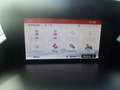 Opel Zafira Edition, 5-Sitzer Blau - thumbnail 14