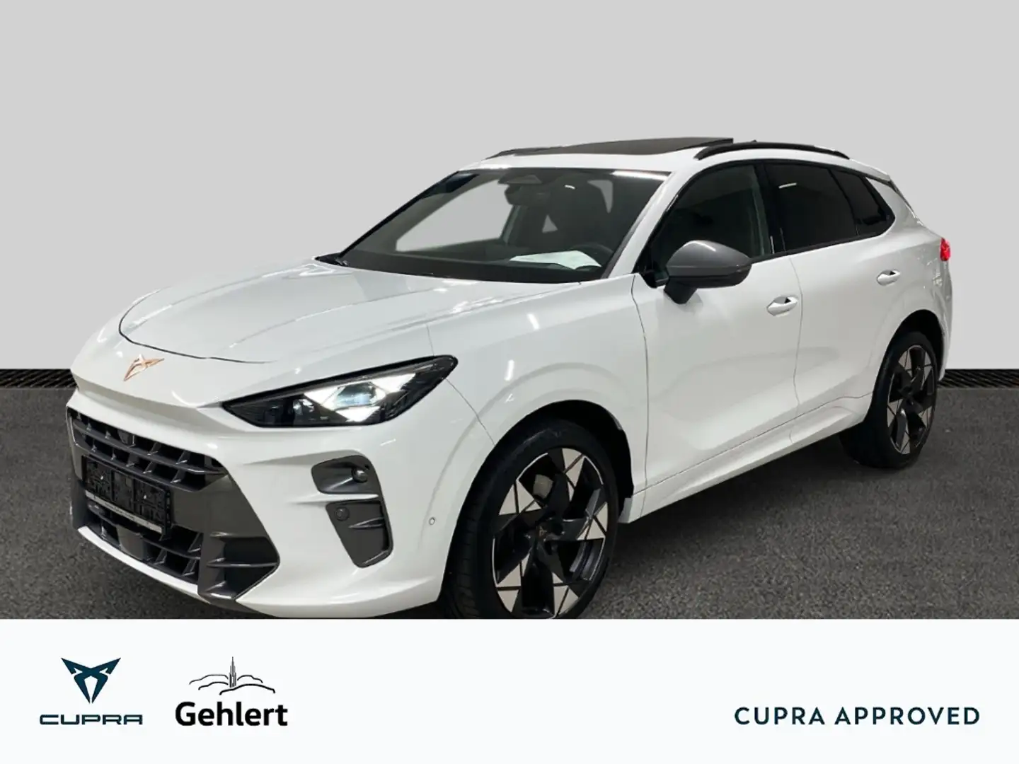 CUPRA Terramar 2.0 TSI 4Drive VZ HUD AD AHK-klappbar El. Panodach Weiß - 1