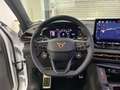 CUPRA Terramar 2.0 TSI 4Drive VZ HUD AD AHK-klappbar El. Panodach Weiß - thumbnail 8