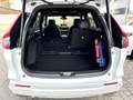 Honda CR-V 2,0 i-MMD e:PHEV Advance Tech Aut. /Hybridbonus Weiß - thumbnail 22