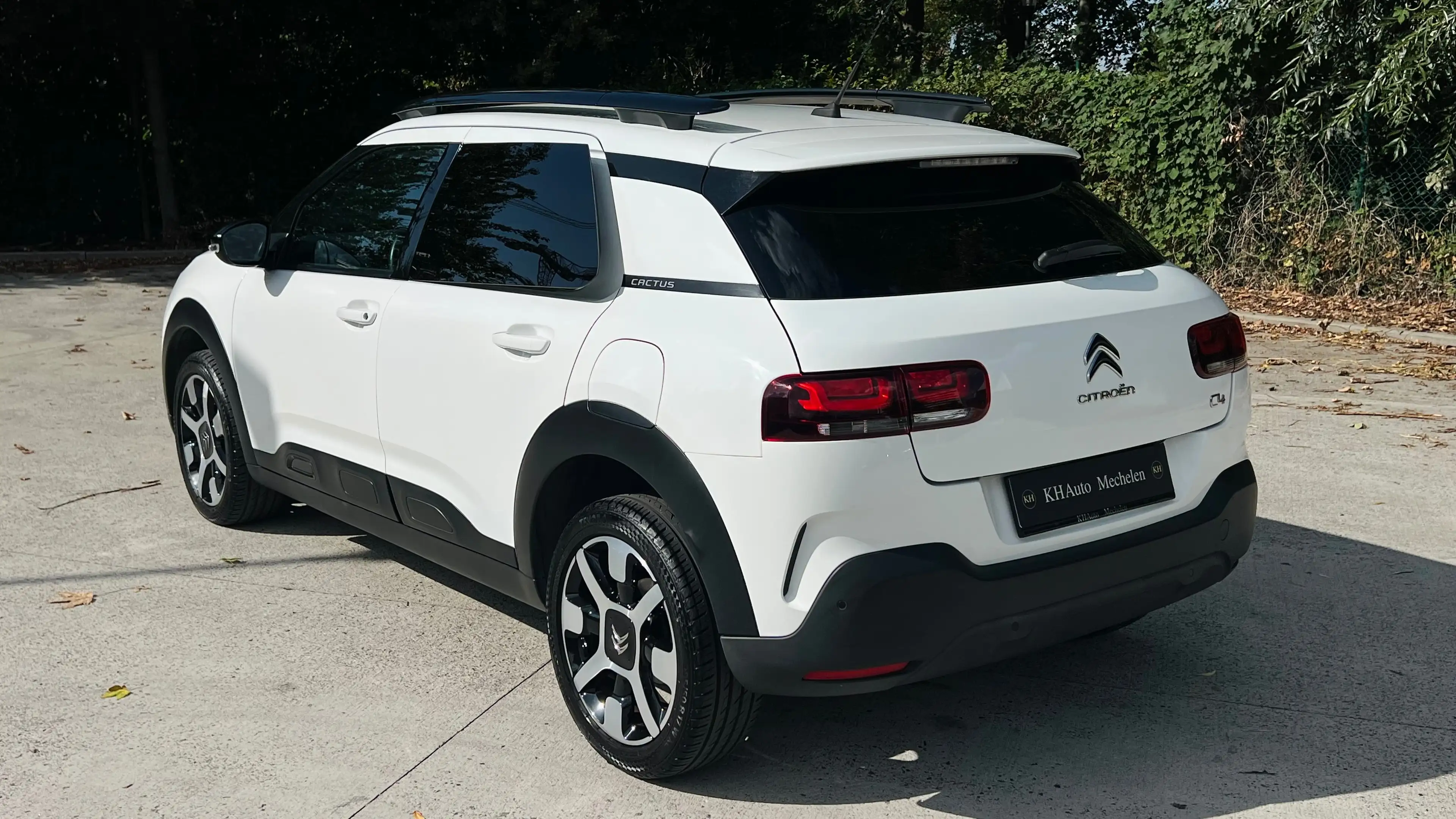 Citroen C4 Cactus 1.2 THP 110pk Shine Camera CarPlay GPS Garantie — photo 4