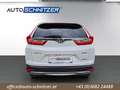 Honda CR-V 2,0 i-MMD Hybrid Executive AWD Aut. Weiß - thumbnail 6