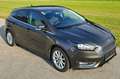 Ford Focus Focus 1,0 EcoBoost Titanium Titanium Grau - thumbnail 5