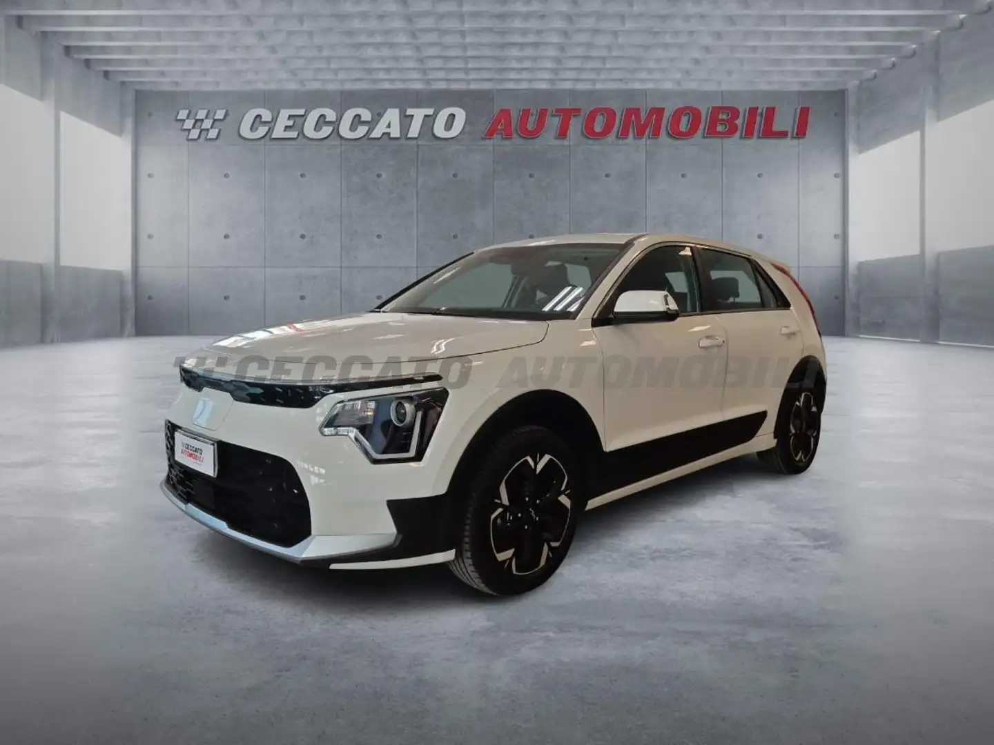 Kia Niro Niro EV 64,8 kWh Business Bleu - 1