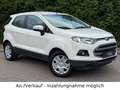 Ford EcoSport 1.0 EcoBoost KLIMA | SHZ | AUX/USB | 8x Wit - thumbnail 2