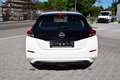 Nissan Leaf Acenta Winter/AVM Weiß - thumbnail 7