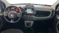 Fiat Panda 1.0 FireFly Hybrid 70cv S&S 1.0 FIREFLY HYBRID S& Grigio - thumbnail 10