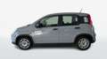 Fiat Panda 1.0 FireFly Hybrid 70cv S&S 1.0 FIREFLY HYBRID S& Grigio - thumbnail 4