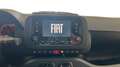 Fiat Panda 1.0 FireFly Hybrid 70cv S&S 1.0 FIREFLY HYBRID S& Grigio - thumbnail 6