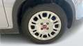 Fiat Panda 1.0 FireFly Hybrid 70cv S&S 1.0 FIREFLY HYBRID S& Grigio - thumbnail 12