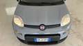 Fiat Panda 1.0 FireFly Hybrid 70cv S&S 1.0 FIREFLY HYBRID S& Grigio - thumbnail 16