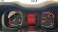 Fiat Panda 1.0 FireFly Hybrid 70cv S&S 1.0 FIREFLY HYBRID S& Grigio - thumbnail 8