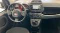 Fiat Panda 1.0 FireFly Hybrid 70cv S&S 1.0 FIREFLY HYBRID S& Grigio - thumbnail 9