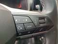 SEAT Ibiza 1.0 TSI S&S Special Edition 115 Grigio - thumbnail 8