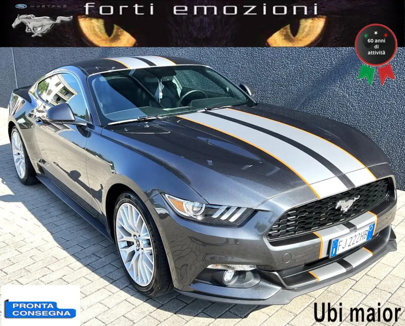 Ford Mustang Fastback 2.3 LIMITED Gris - 1