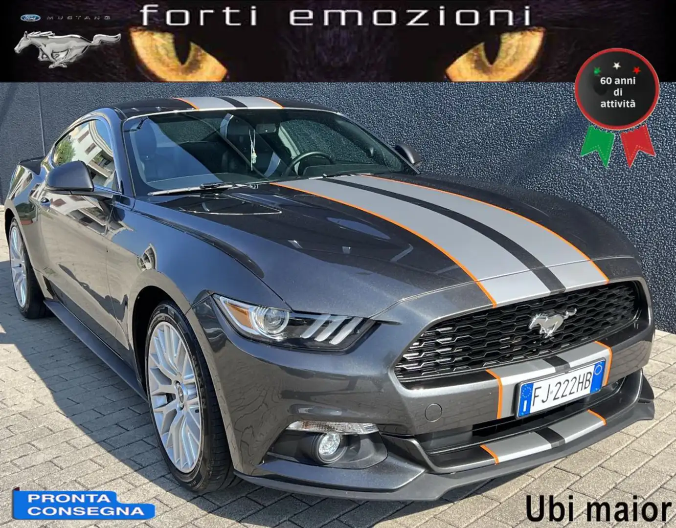 Ford Mustang Fastback 2.3 LIMITED Gris - 2