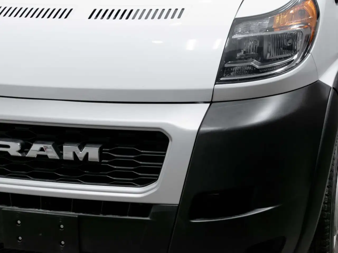 RAM Promaster fotografie RAM Promaster