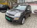 Fiat Panda 1,2 69 Lounge Schwarz - thumbnail 11