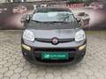Fiat Panda 1,2 69 Lounge Schwarz - thumbnail 10