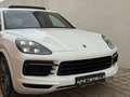 Porsche Cayenne III /PANO/LUFT/4xSHZG/Sitzlüftung/Soft Blanc - thumbnail 42