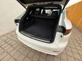 Porsche Cayenne III /PANO/LUFT/4xSHZG/Sitzlüftung/Soft Blanc - thumbnail 19