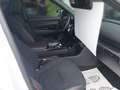 Hyundai TUCSON N Line Mild-Hybrid 2WD 7-DCT 160PS/Navi Wit - thumbnail 15