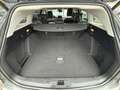 Ford Focus Traveller 2,0 EcoBlue SCR Vignale Aut. Grigio - thumbnail 5