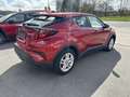 Toyota C-HR C-ENTER Rouge - thumbnail 6