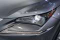 Lexus NX 300 300h Business Navigation 2WD Gris - thumbnail 10