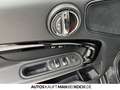 MINI Cooper SD Countryman Mini  All4,Navi,Leder LED - thumbnail 14