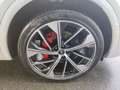 Audi Q5 55 TFSI e q. S-Tronic S-Line 2x, Ma Weiß - thumbnail 16