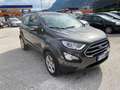 Ford EcoSport EcoSport 2018 1.5 tdci Business s Gris - thumbnail 3