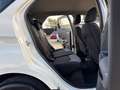 Ford EcoSport Ecosport 1.5 TDCi 4x2 Trend Blanc - thumbnail 10