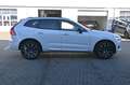 Volvo XC60 B5 D AWD R-Design*LED*STHZ*PANO*H&K*22"*AHK Weiß - thumbnail 5