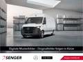 Mercedes-Benz Sprinter 317 CDI KA L4H2 Klima 360°-Kamera Navi Weiß - thumbnail 1