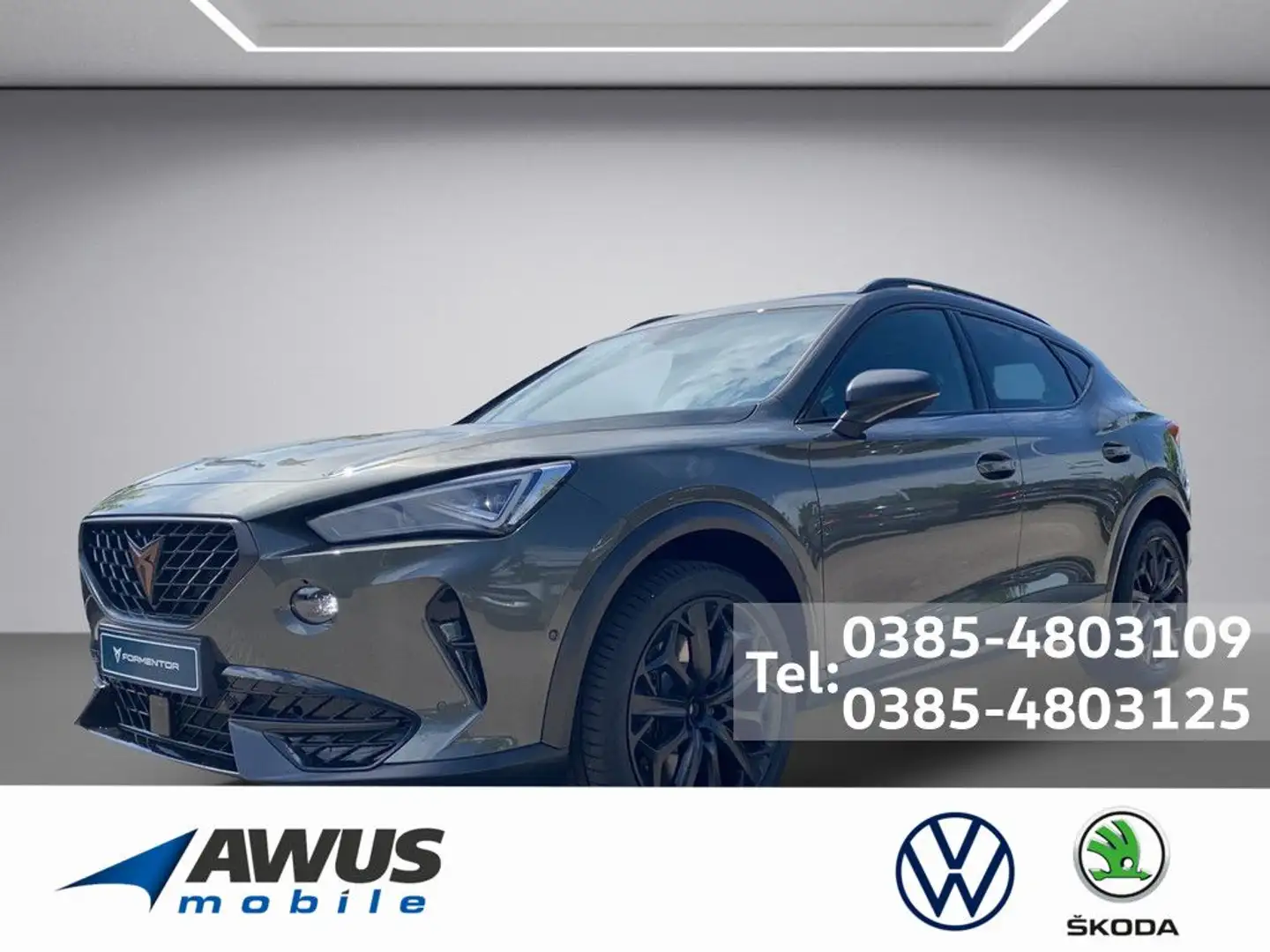 CUPRA Formentor 2.0 TSI VZ Tribe Edition NAVI ACC PANO Grau - 1