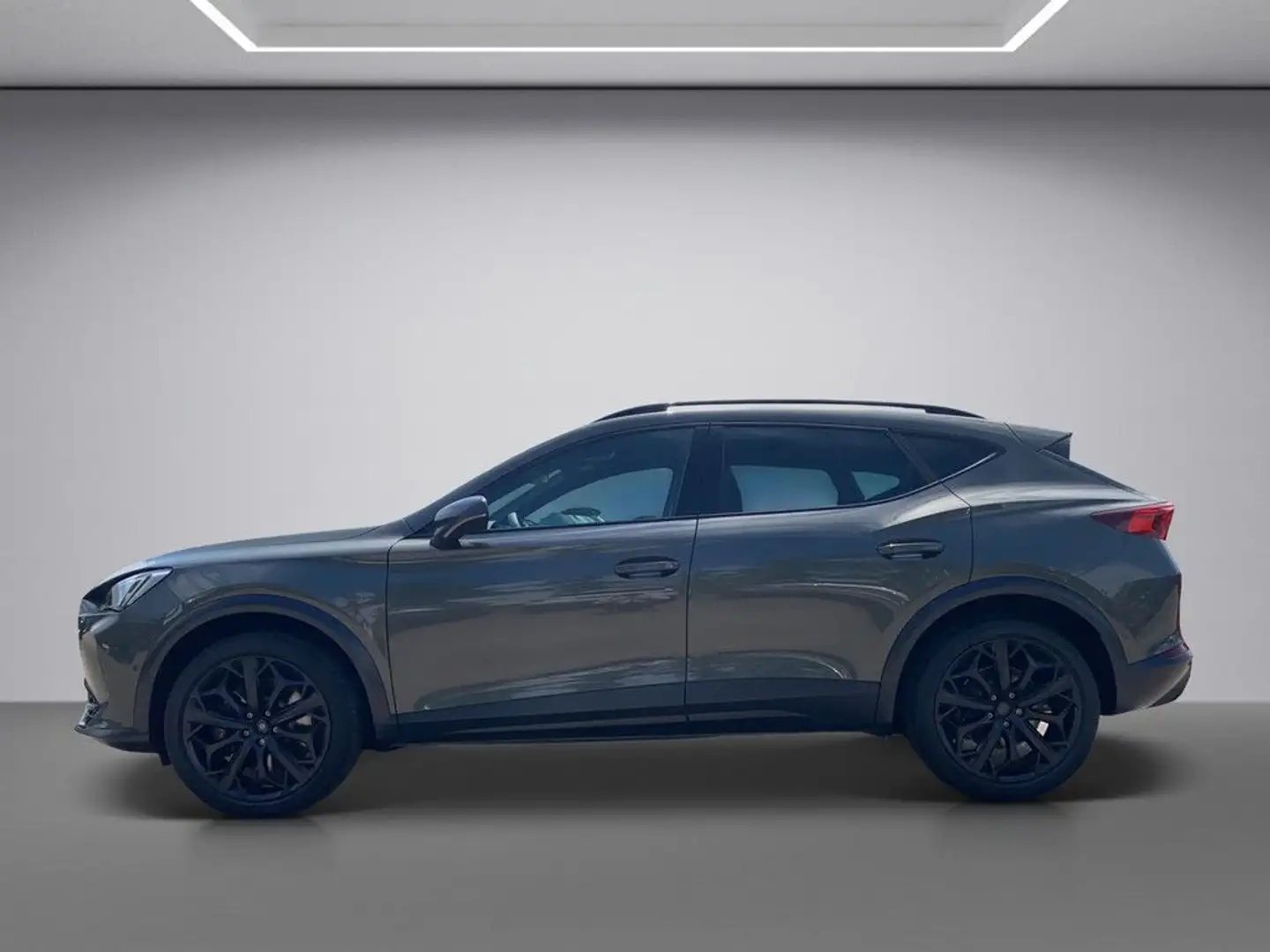 CUPRA Formentor 2.0 TSI VZ Tribe Edition NAVI ACC PANO Grau - 2