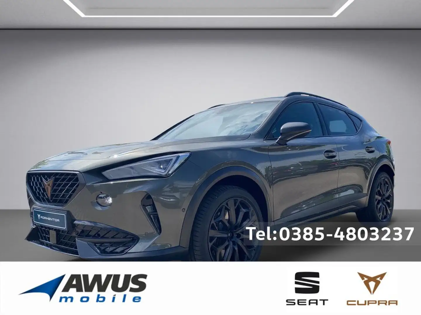 CUPRA Formentor 2.0TSI DSG VZ Tribe Edition ACC PANO Grau - 1