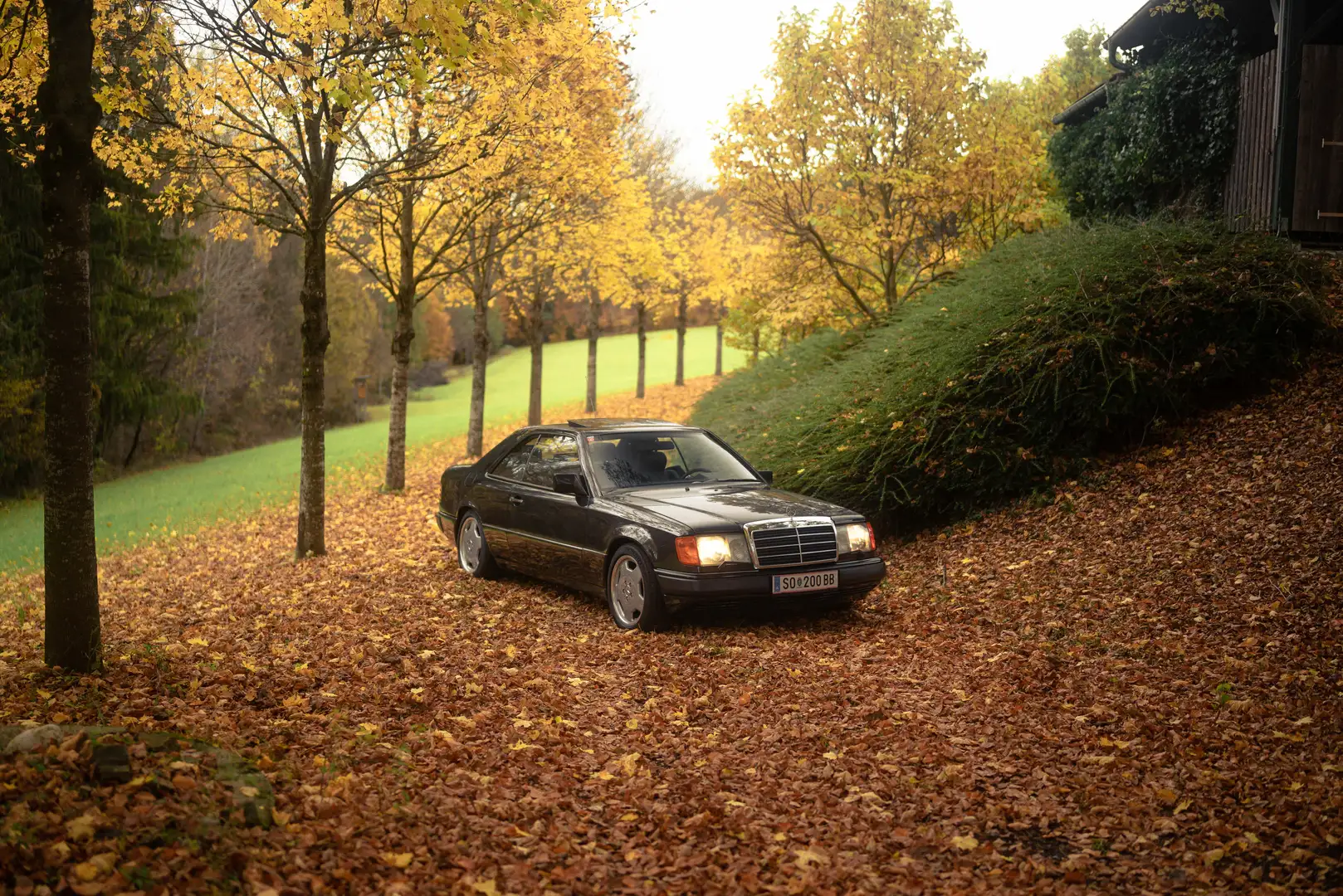 Mercedes-Benz CE 300 300CE-24 Klima Schiebedach AMG - 1