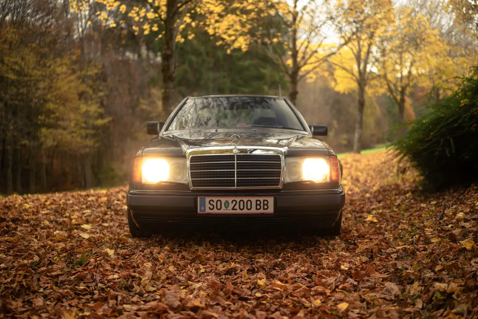 Mercedes-Benz CE 300 300CE-24 Klima Schiebedach AMG - 2