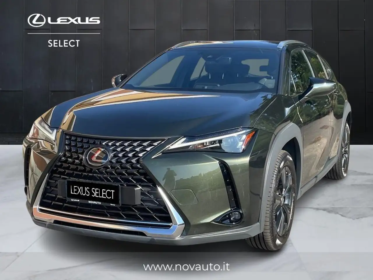 Lexus UX 250h