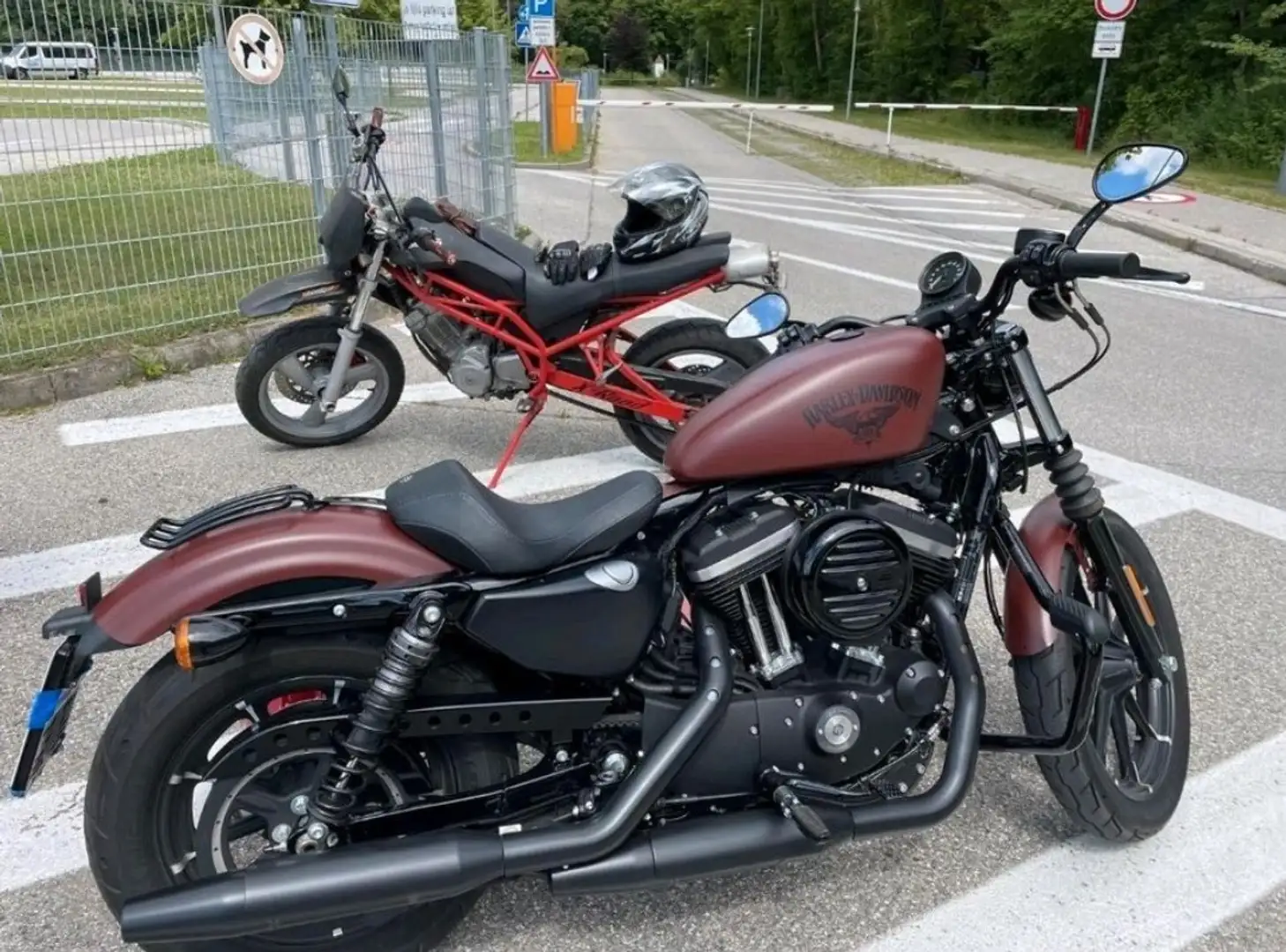 Harley-Davidson Sportster 883 Iron Maro - 1
