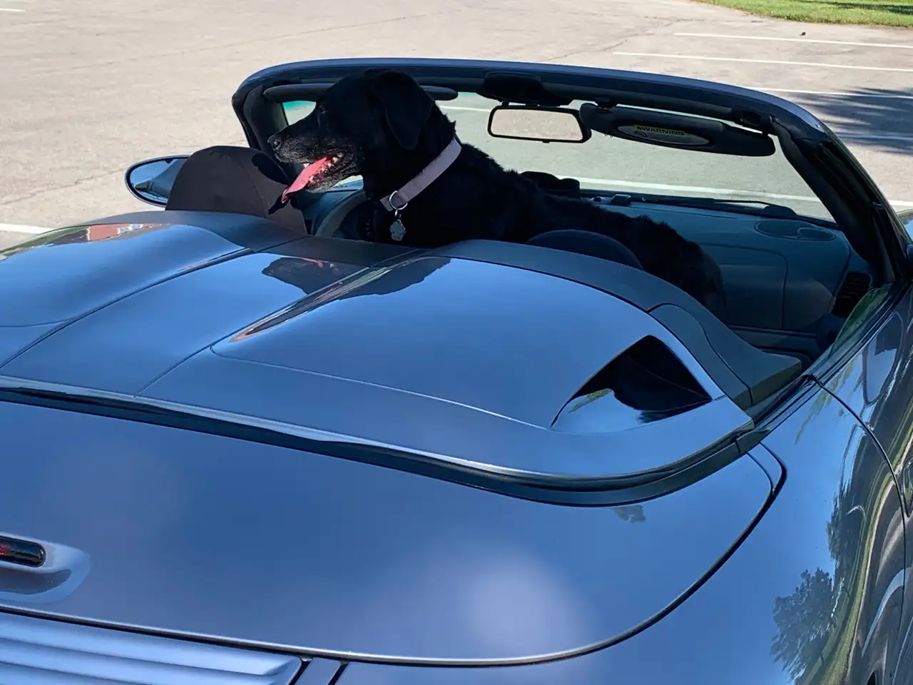 Porsche 911 снимка Porsche 911