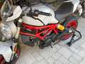 Ducati Monster 797 Blanco - thumbnail 2