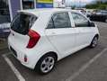 Kia Picanto Attract Weiß - thumbnail 6