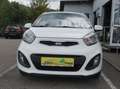 Kia Picanto Attract Weiß - thumbnail 2