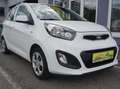 Kia Picanto Attract Weiß - thumbnail 1