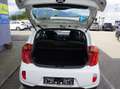 Kia Picanto Attract Weiß - thumbnail 14