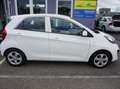 Kia Picanto Attract Weiß - thumbnail 7